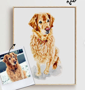 A5 Custome Pet Portrait Hand Drawn Watercolour Illustration 