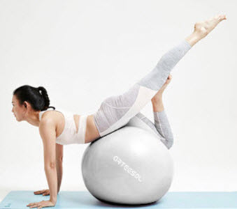 Arteesol Exercise Ball from Amazon  