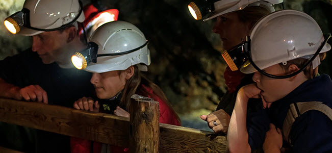 Tours at Dolaucothi Gold Mines 