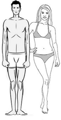 Male and Female Ectomorph