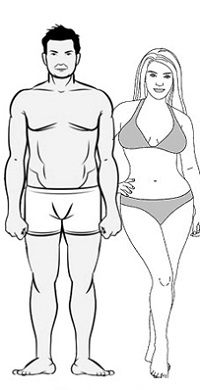 Male and Female Endomorph