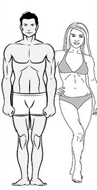 Male and Female Mesomorph