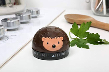 Hedgehog Kitchen Timer from Amazon 