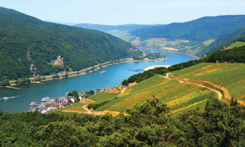 View of the River Rhine 