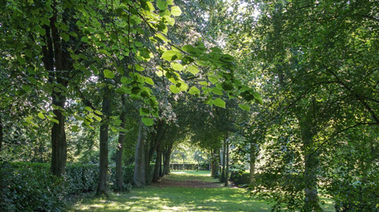 View of Whipsnade Tree Cathedral 